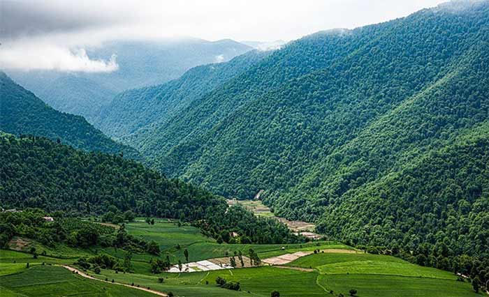 روستای داماش و گل‌های سوسن چلچراغ