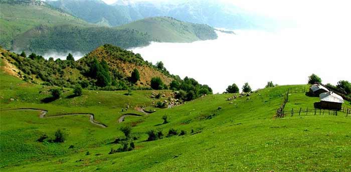 جنگل‌های هلودشت لنگرود